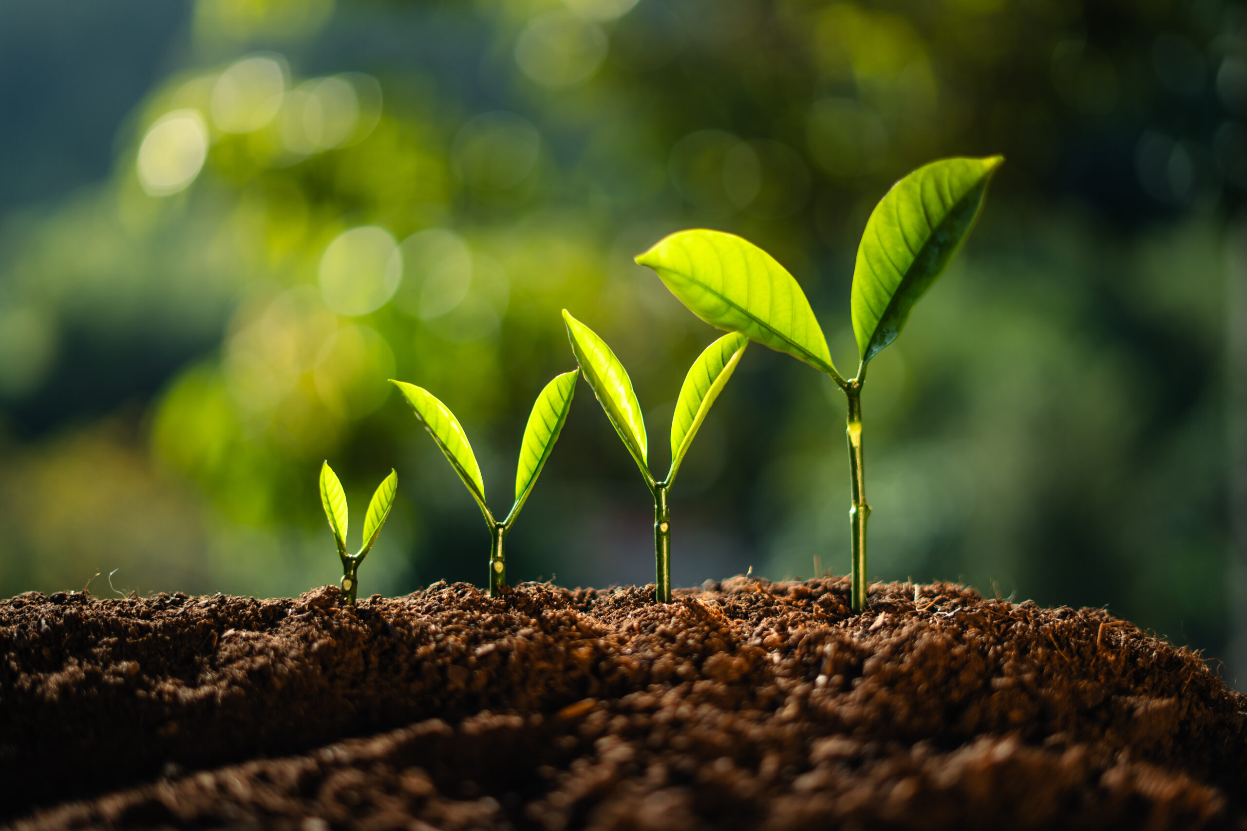 Growing financial chart representing sustainable community bank growth